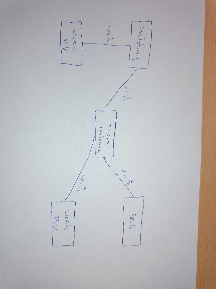 juiste bedrijfsstructuur en gevolgen? [div. holdings en een STAK?]