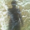Remco_c